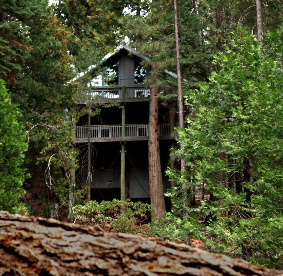 Tree House Lodge Yosemite West Exterior foto